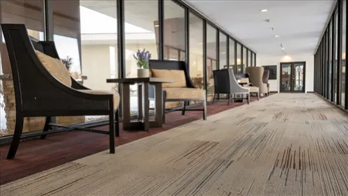 Carpet-Steam-Cleaning--in-Randallstown-Maryland-carpet-steam-cleaning-randallstown-maryland.jpg-image
